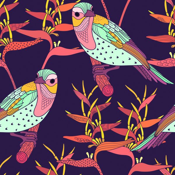 Behang Kleurrijke Vogels - Afbeelding 2