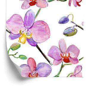 Behang Orchideeën, Orchideeën, Bloemen, Planten
