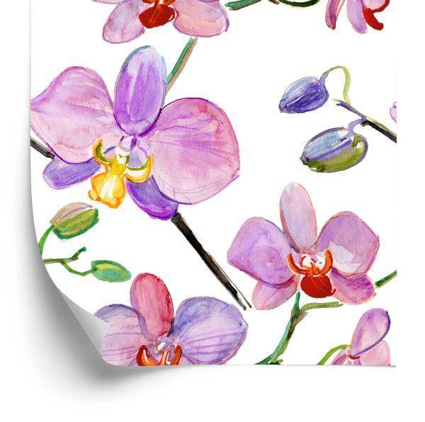 Behang Orchideeën, Orchideeën, Bloemen, Planten
