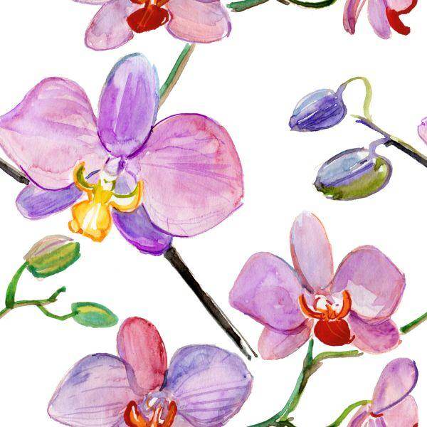 Behang Orchideeën, Orchideeën, Bloemen, Planten - Afbeelding 2