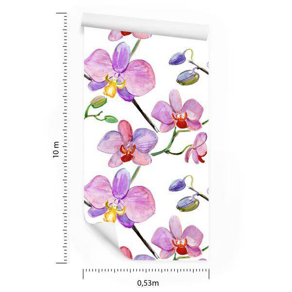 Behang Orchideeën, Orchideeën, Bloemen, Planten - Afbeelding 8