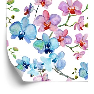 Behang Voor Salon Orchidee Bloemen Natuur Orchideeën