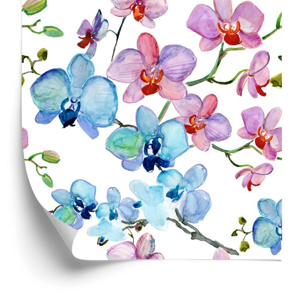 Behang Voor Salon Orchidee Bloemen Natuur Orchideeën