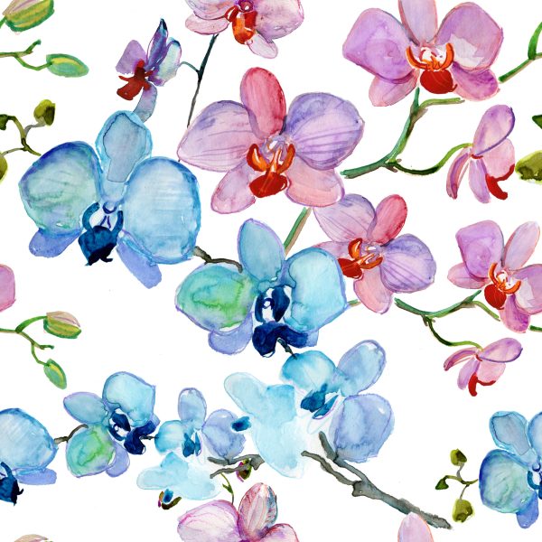 Behang Voor Salon Orchidee Bloemen Natuur Orchideeën - Afbeelding 2