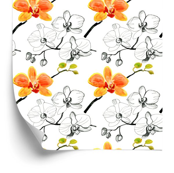 Behang Voor De Salon Bloemen Orchideeën Orchidee Natuur