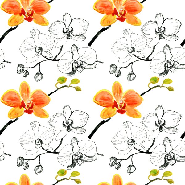Behang Voor De Salon Bloemen Orchideeën Orchidee Natuur - Afbeelding 2