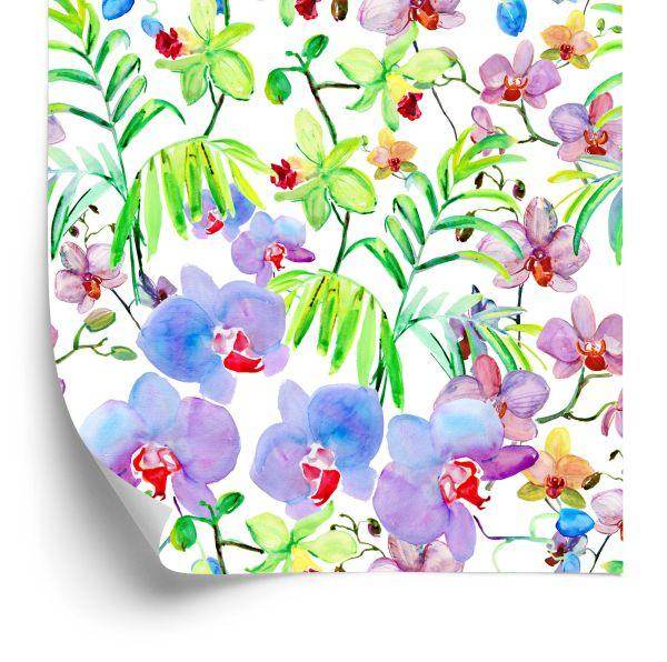 Behang Orchideeën Orchideeën Planten Bloemen Voor Woonkamer