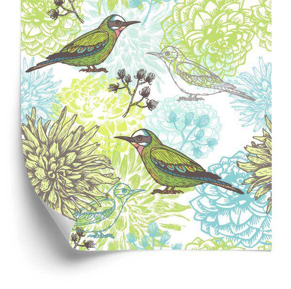 Behang Veelkleurige Vogels