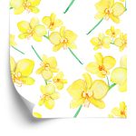 Behang Bloemen, Planten, Orchideeën, Natuur, Voor In De Woonkamer