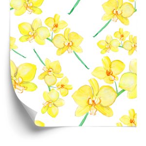 Behang Bloemen, Planten, Orchideeën, Natuur, Voor In De Woonkamer
