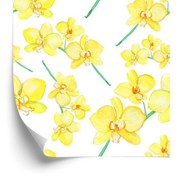 Behang Bloemen, Planten, Orchideeën, Natuur, Voor In De Woonkamer
