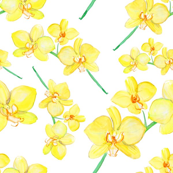 Behang Bloemen, Planten, Orchideeën, Natuur, Voor In De Woonkamer - Afbeelding 2