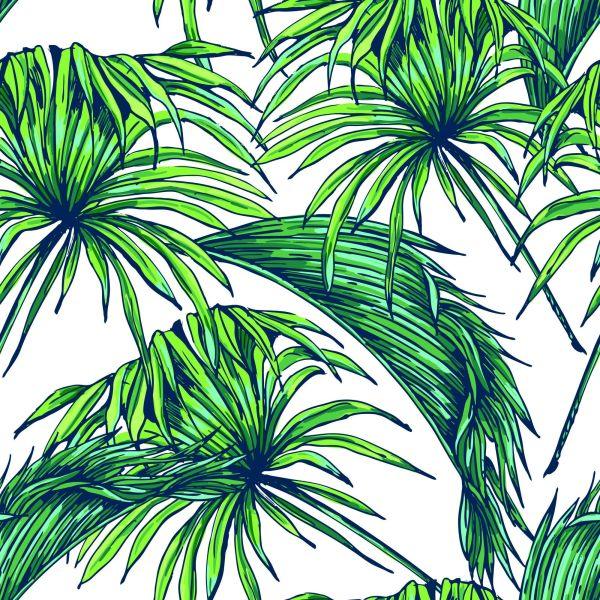 Behang Palm Bladeren - Afbeelding 2