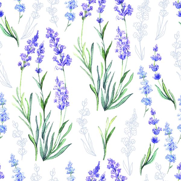 Behang Lavendel Variëteit - Afbeelding 2