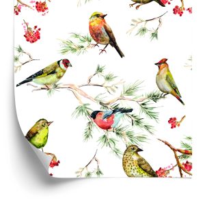 Behang Veelkleurige Vogels Op Takken
