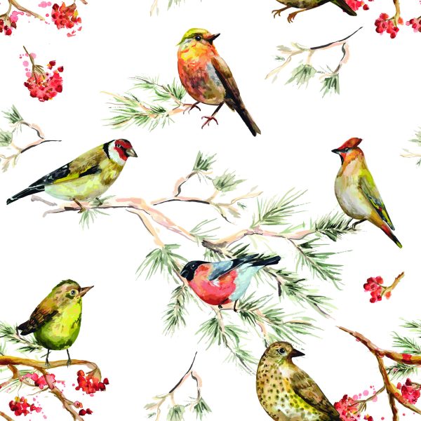 Behang Veelkleurige Vogels Op Takken - Afbeelding 2