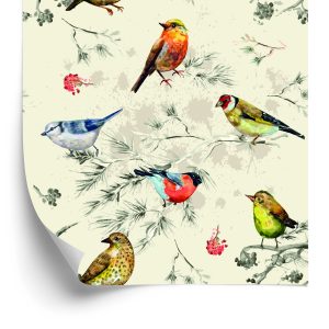 Behang Kleurrijke Vogels