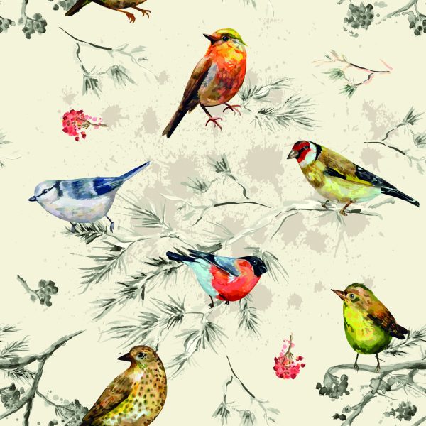 Behang Kleurrijke Vogels - Afbeelding 2