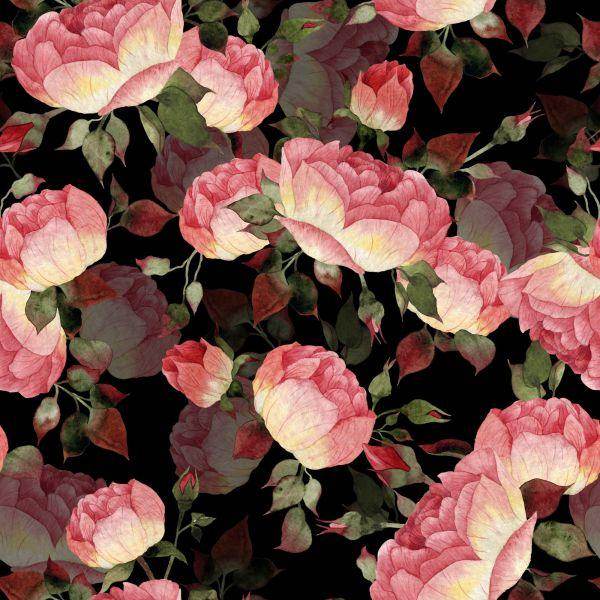Behang Rozen - Afbeelding 2