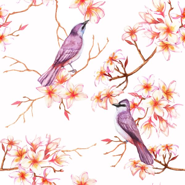 Behang Prachtige Kleurrijke Vogels - Afbeelding 2