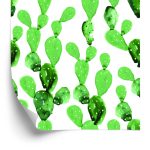 Behang Aquarel Cactusbloemen