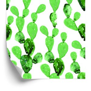 Behang Aquarel Cactusbloemen