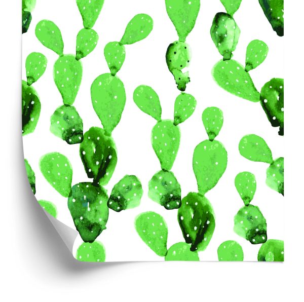 Behang Aquarel Cactusbloemen