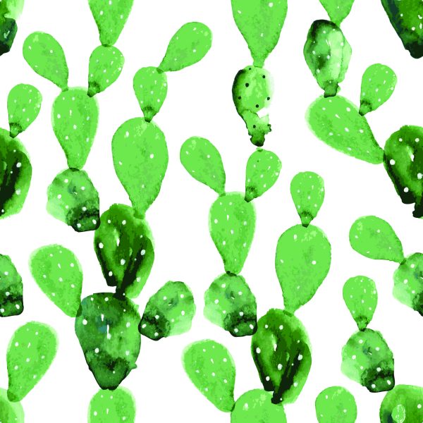 Behang Aquarel Cactusbloemen - Afbeelding 2