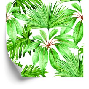Behang Tropische Bladeren