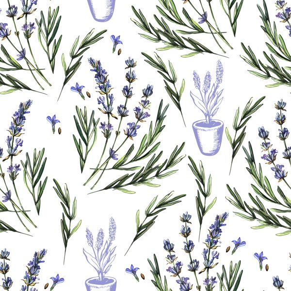 Behang Lavendel In Potten - Afbeelding 2
