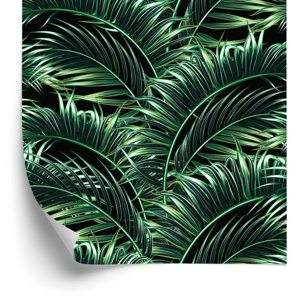 Behang Palm Bladeren