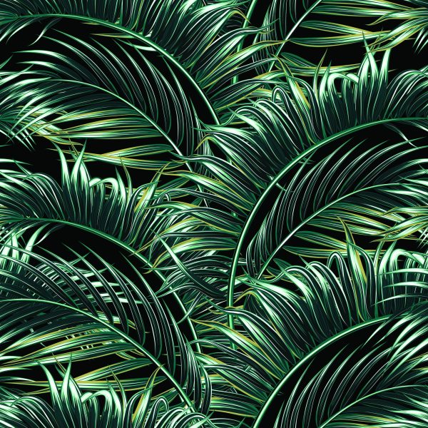 Behang Palm Bladeren - Afbeelding 2