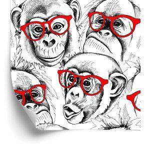 Behang Chimpansees