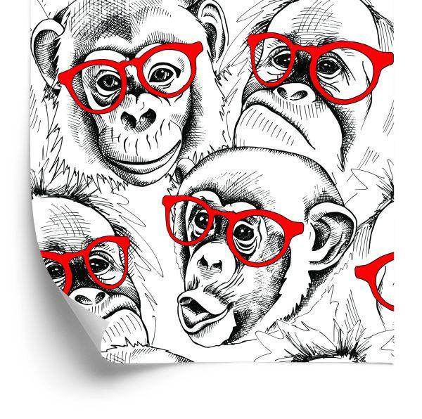 Behang Chimpansees