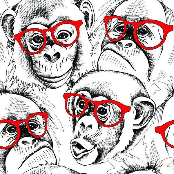 Behang Chimpansees - Afbeelding 2