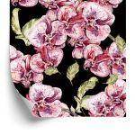 Behang Orchidee. Orchidee. Natuur. Bloemen