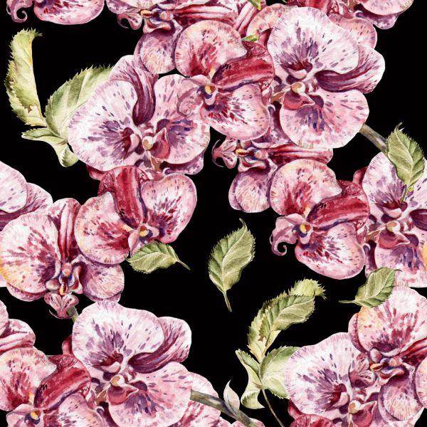 Behang Orchidee. Orchidee. Natuur. Bloemen - Afbeelding 2