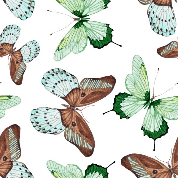 Behang Vlinders. Natuur. Natuur! - Afbeelding 2