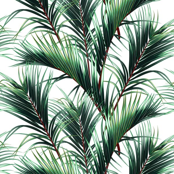 Behang Palm Bladeren - Afbeelding 2