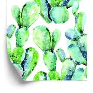 Behang Bloemen, Planten, Cactussen