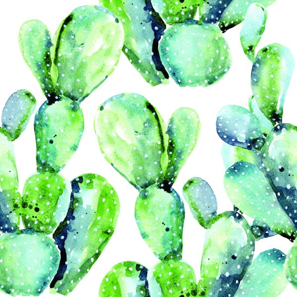 Behang Bloemen, Planten, Cactussen - Afbeelding 2