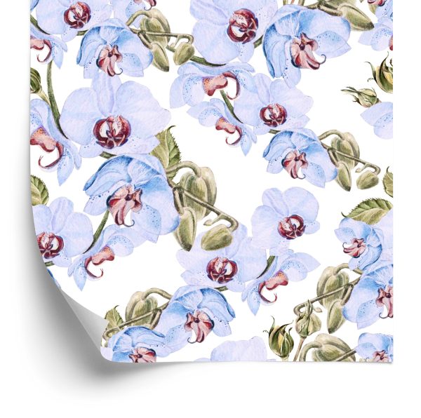 Behang Voor Woonkamer Orchideeën, Bladeren, Natuur, Planten