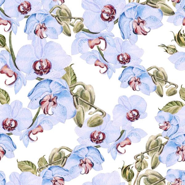 Behang Voor Woonkamer Orchideeën, Bladeren, Natuur, Planten - Afbeelding 2