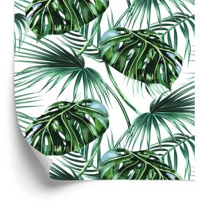 Behang Bladeren Van De Palm En Monstera