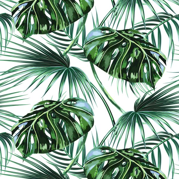 Behang Bladeren Van De Palm En Monstera - Afbeelding 2