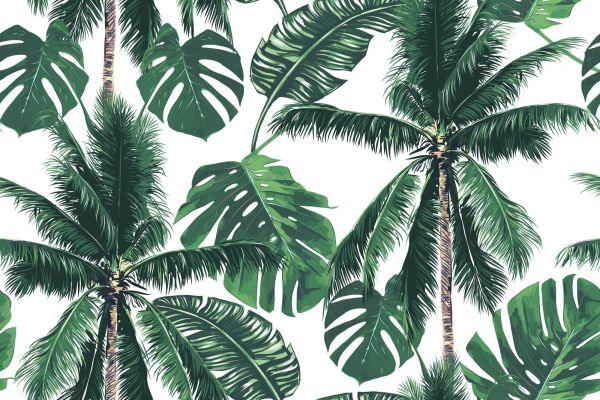 Behang Natuur Palmbos Voor Woonkamer Slaapkamer - Afbeelding 2