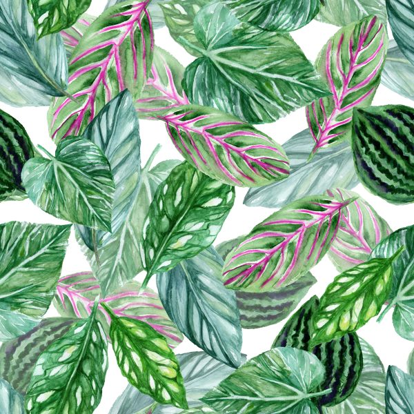 Behang Groene Bladeren - Afbeelding 2