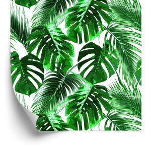 Behang Bladeren Van De Palm En Monstera