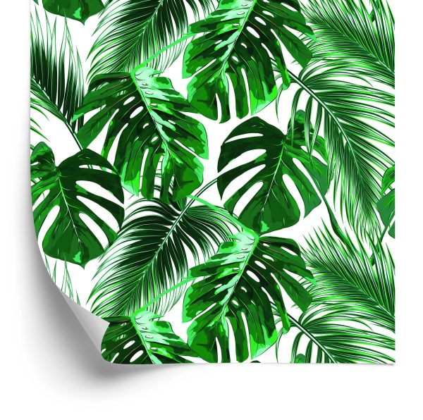 Behang Bladeren Van De Palm En Monstera
