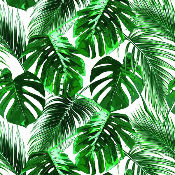 Behang Bladeren Van De Palm En Monstera - Afbeelding 2
